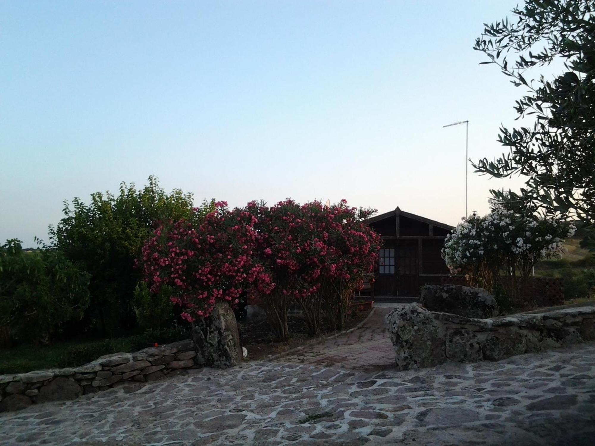 Agriturismo Su Recreu Ittiri Pokój zdjęcie