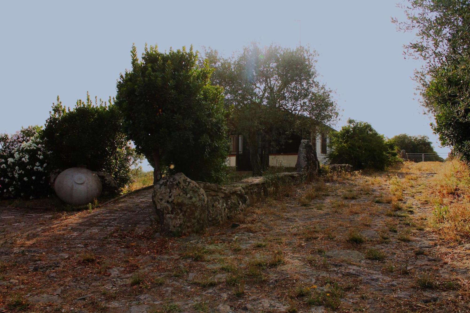 Agriturismo Su Recreu Ittiri Zewnętrze zdjęcie