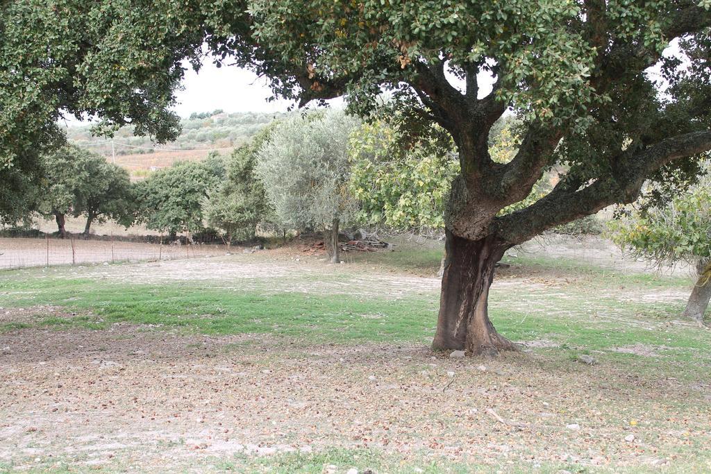 Agriturismo Su Recreu Ittiri Zewnętrze zdjęcie