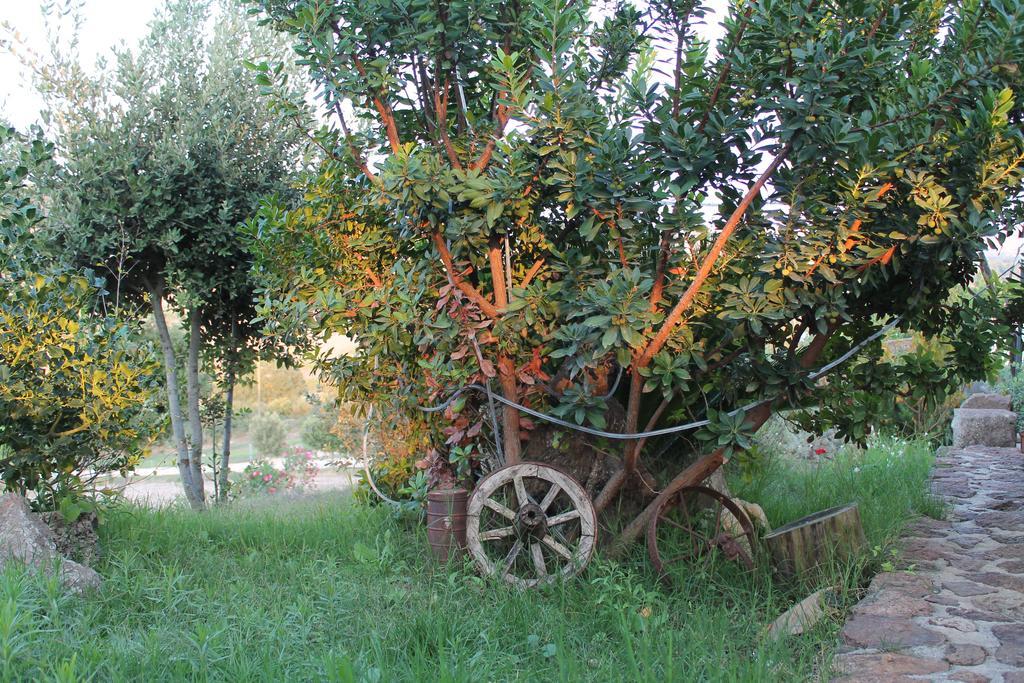 Agriturismo Su Recreu Ittiri Zewnętrze zdjęcie