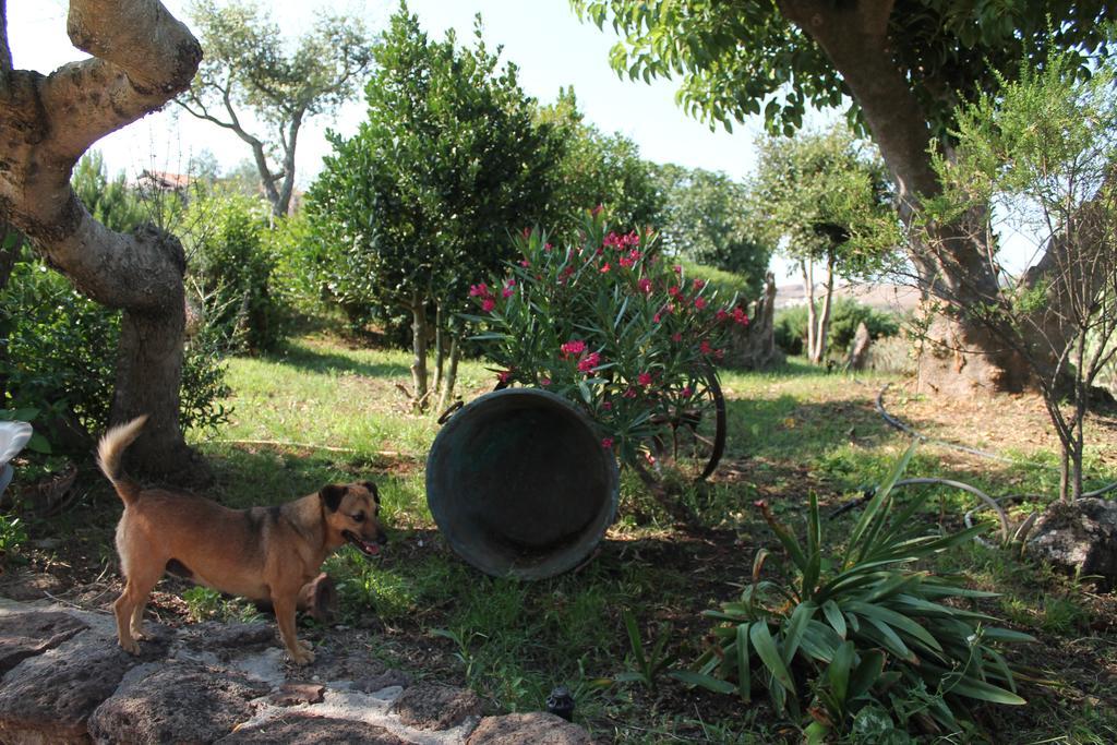 Agriturismo Su Recreu Ittiri Zewnętrze zdjęcie
