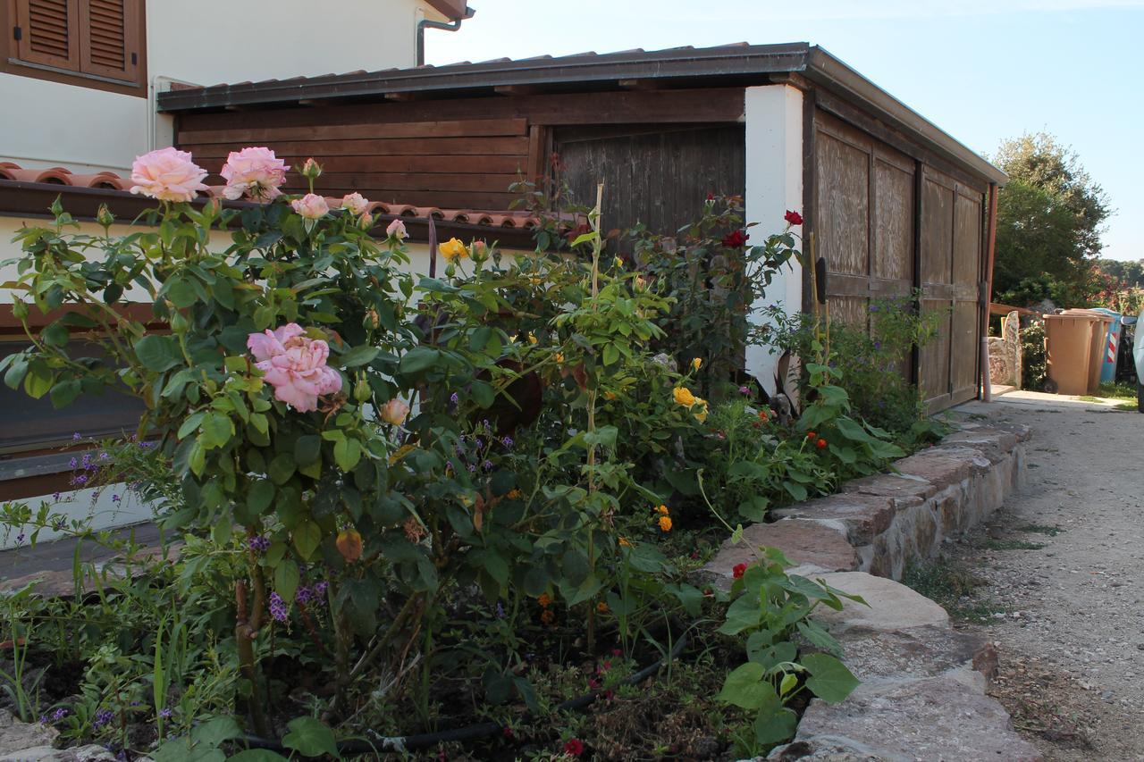 Agriturismo Su Recreu Ittiri Zewnętrze zdjęcie