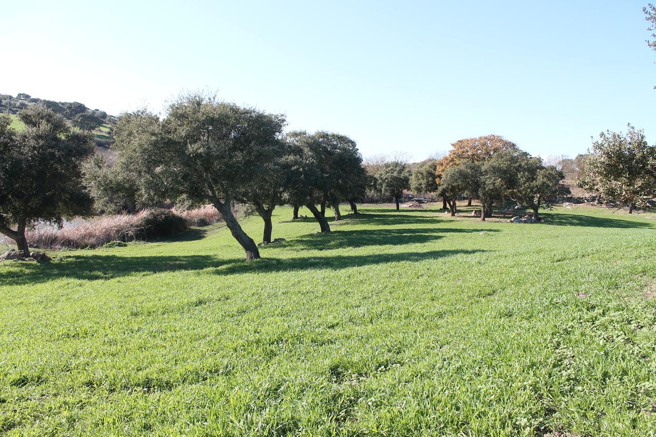 Agriturismo Su Recreu Ittiri Zewnętrze zdjęcie